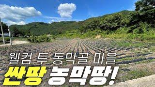 [평창 토지] 저렴한 평창 토지 매매