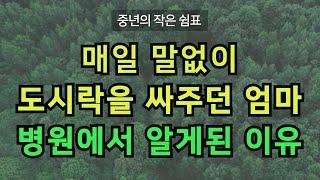 매일 말없이 도시락만 두고 가던 엄마, 병원에서 그 이유를 들었다