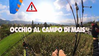 OCCHIO AL CAMPO DI MAIS -PARAPENDIO-