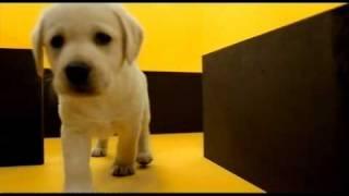 Pedigree Dog Food 2010 Ad