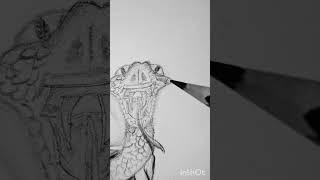 Skull ️ drawing by rk arts #skull #sketch #skeleton #art