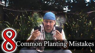 Common Garden Transplanting Mistakes