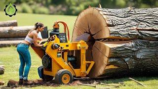 Fastest Automatic Firewood Processing Machine | Dangerous Big Chainsaw Cutting Tree machines #13