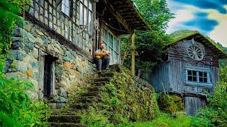 Village Life in the Black Sea: Tea Harvesting, and Natural Lifestyles | Mr Wild Nature (4K)