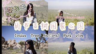 约书亚树国家公园vlog | 洛杉矶周边一日游 | 疫情期间放风 | 美国沙漠旅游攻略