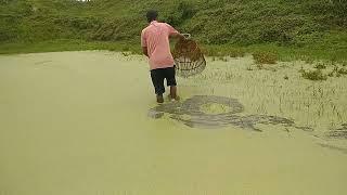 Catch big fish with polo in our ponds near my house