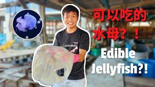 Edible Jellyfish?! 9 Mins on How It Is Made