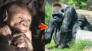 From Fragile to Fearless: Finyezi’s Journey