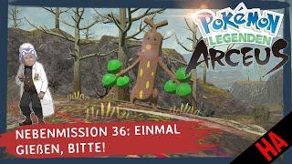 Nebenmission 36 - Einmal gießen, bitte! - Mission finden - Pokémon Legenden: Arceus