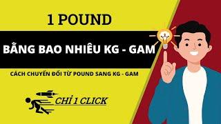 1 Pound Bằng Bao Nhiêu Kg - Cách Chuyển Đổi Pound Sang Kg, Gam - CHH