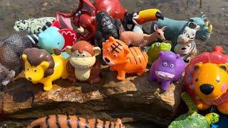 Wild Zoo Animal Toys Being Shown in Outdoors