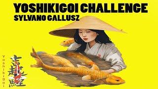 Yoshikigoi Challenge: Sylvano heeft pech met zijn chagoi