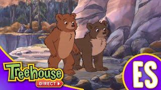 Little Bear: La Pelicula