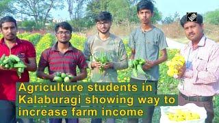 Agriculture students in Kalaburagi showing way to increase farm income