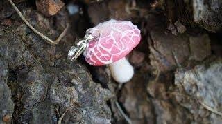 Miniature Pink Mushroom Tutorial Rhodotus Palmatus