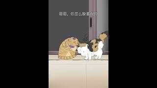 在最没有能力的时候，遇到了想共度一生的你···· #猫咪的迷惑行为 #猫咪 #猫 #萌宠出道计划 #宠物成精了