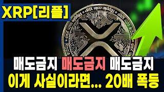 [리플 전망] 매도금지! 리플 XRP 대응만 잘하시면 20배 폭등 먹는다!