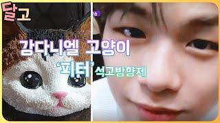 석고방향제 만들기 - 차량용 방향제 추천! 오늘은 강다니엘 고양이 피터 입니다! kang daniel cat peter ! plaster air freshener