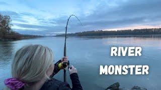 SHORE Fishing for STURGEON