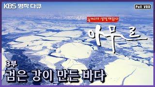 [명작다큐️] 동아시아 생명대탐사 '아무르 Amur' | 3부 검은 강이 만든 바다 (KBS 2011.04.13 방송)