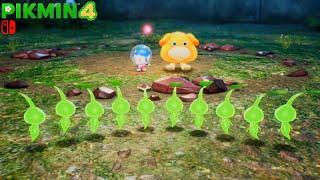 Pikmin 4 - Night Expedition Ancient Arches - Bulblax Red Eye & Protect Lumiknoll - Sun-speckled TR