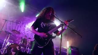 ANALEPSY - Engorged Absorption (OFFICIAL LIVE VIDEO)