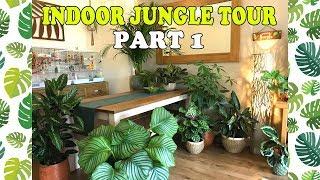 Welcome to the Jungle! Indoor Jungle Tour UK PART 1