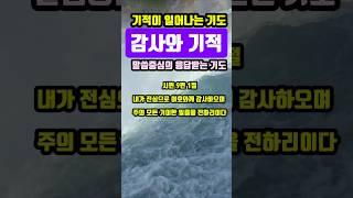 감사와 기적| 기적이 일어나는 기도|#말씀조은tv #목양교회 #조현상목사 #기도 #성경암송