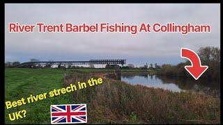 Barbel fishing the best place in the whole country! @River Trent @Collingham