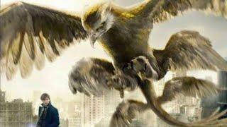 Newt Release Thunderbird Scene - Fantastic Beasts and Where to find them(2016) || Movie Scene HD