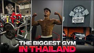 training in thailand’s biggest gym | muscle factory bkk