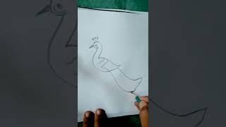peacock drawing #shorts