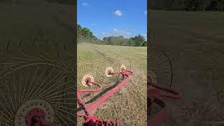 Raking Hay Into Windrows #hay #farming #tractor #tractorvideo #grass