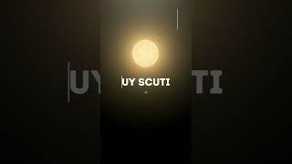 Sun vs UY Scuti vs Quasi Star #space #star #comparison