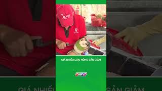 Giá nhiều loại nông sản giảm #nongnghiepmientay