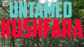 PRATAPGARH KUSHFARA JUNGLE UNLEASHED...