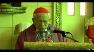 Homily of Cardinal Vidal