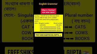 what is number in Assamese grammar? বচন কাক বোলে?#assamesegrammar #englishgrammar