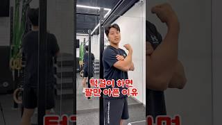 턱걸이 등운동 아닌가? 왜 팔만아프지? 싶으면 꼭보세요