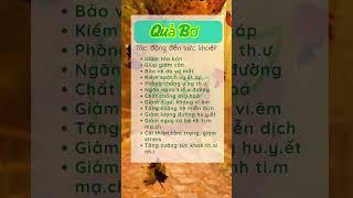 Bí Kíp Khỏe Mạnh Của Người Xưa | Khỏe quá trời ơi! #khoequatroioi #songkhoemoingay #songtho