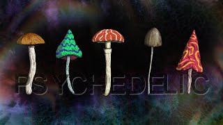 Psychedelic Visuals on Deep Relaxing Music  Mushroom Trippy Videos 4K