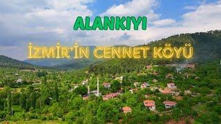 KUŞBAKIŞI ALANKIYI... KOYUNLARA TAZE OT...BUGÜNLERDE KÖYDEKİ  HAYAT  AKIŞI...