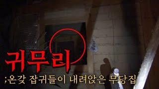 귀신이 무리 지어 살고 있는 무당집..