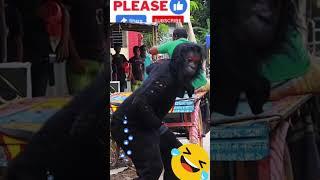 Try Not To Laugh Funny Video #044 Best Fails #shorts