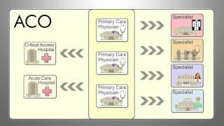 The ABC's of ACO's