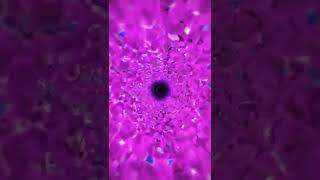 TRIPPY Short #402 [TRIPPY VISUALS]
