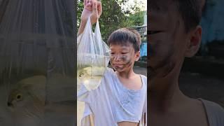 Kindly poor man save fish with helmet #trending #viralvideo #shorts #shortsfilm #fish #shortsvideo