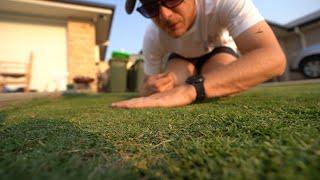 Making A Putting Green At Home // TifTuf Bermuda (Couch)