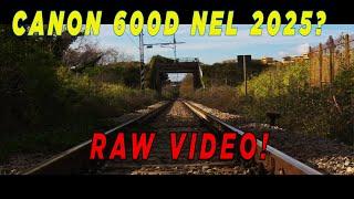 Canon 600d Raw Video- Ancora Valida nel 2025!