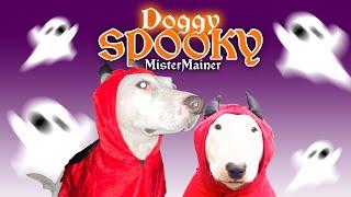 Doggy Spooky Music Video | MisterMainer